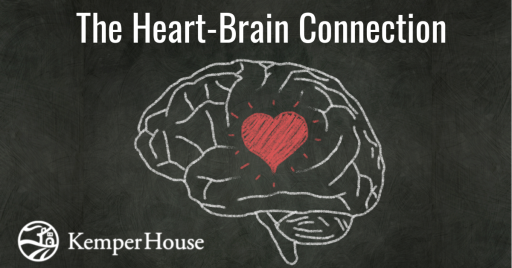 Heart Brain Connection Heart Brain Connection